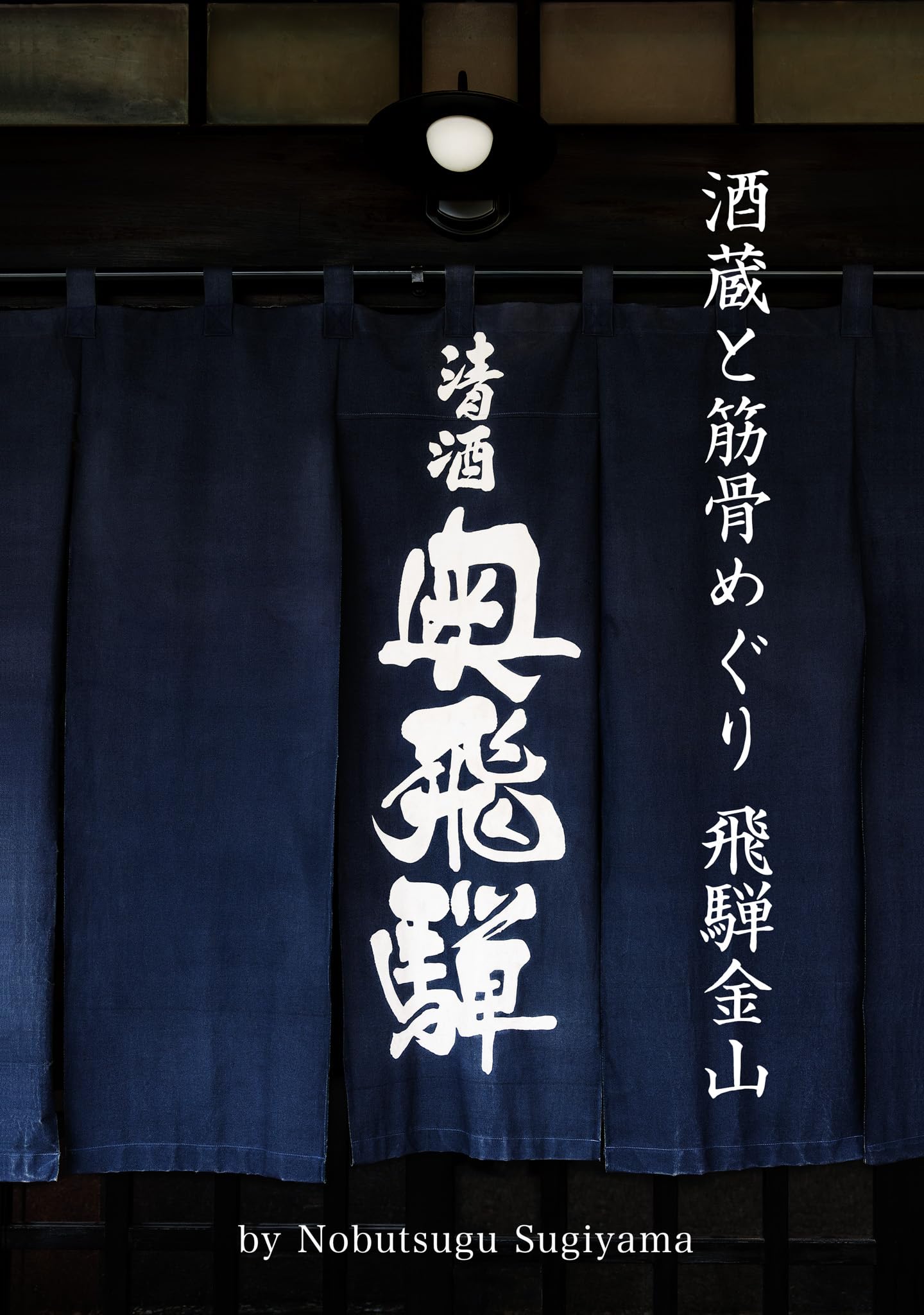 杉山律夫、【アンニュイ・赤坂】、希少な額装用画集より、新品額装付、状態良好 杉山寧、【水】、希少な額装用画集より、新品額装付、状態良好